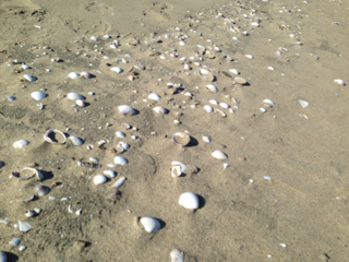 image-20131207230201.png