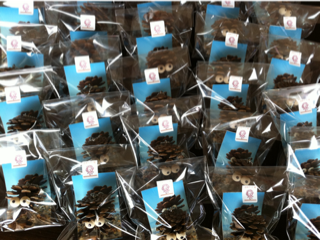 image-20110525203037.png