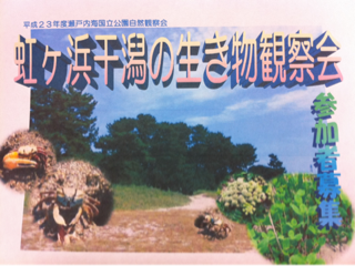 image-20110622223402.png