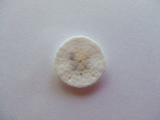 image-20110722022533.png