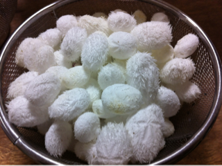 image-20111215203609.png