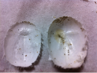 image-20111215203653.png