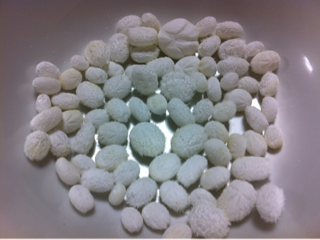image-20111215203737.png