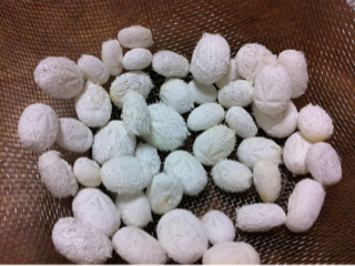 image-20111215203759.png