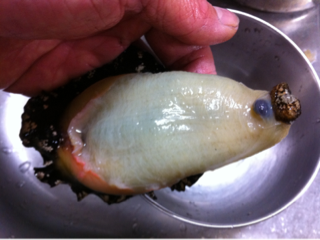 image-20120316082402.png