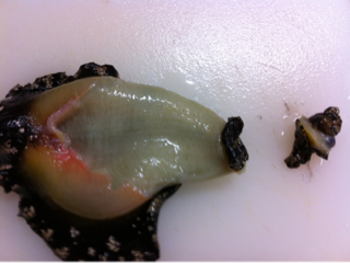 image-20120316082422.png
