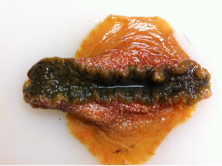 image-20120316082451.png