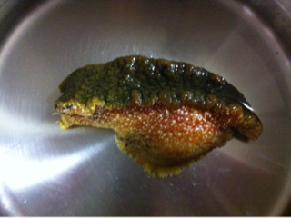image-20120316082531.png