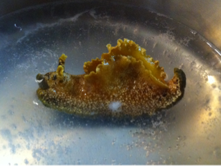 image-20120316082552.png
