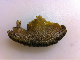 image-20120316082647.png