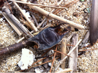 image-20120321032335.png