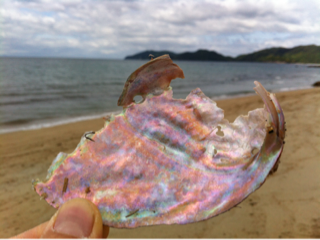 image-20120505013151.png