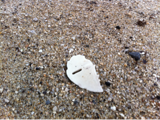 image-20120505013239.png