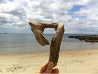 image-20120505013259.png