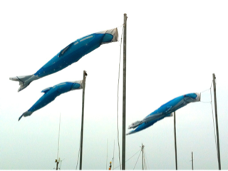 image-20120810211613.png