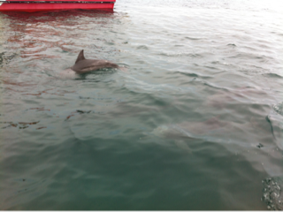 image-20120810211940.png