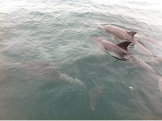 image-20120810212036.png