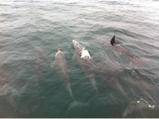 image-20120810212055.png