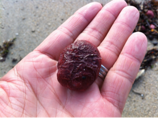 image-20121112230244.png