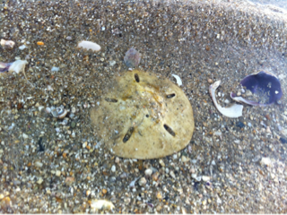 image-20130217000119.png