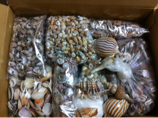 image-20130323204113.png