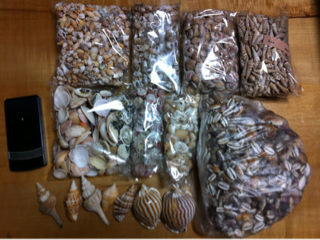 image-20130323204138.png