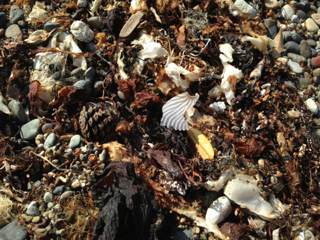 image-20130519012349.png