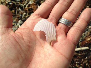 image-20130519012403.png