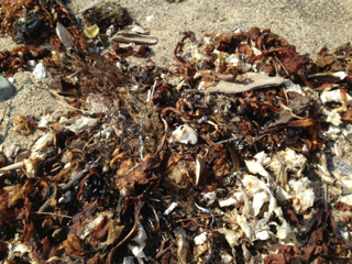 image-20130519012429.png