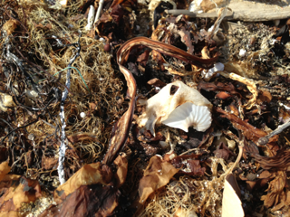 image-20130519012445.png