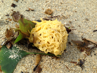 image-20130531091205.png