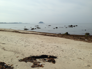 image-20130531091230.png