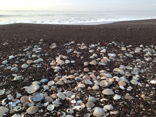 image-20131112195056.png