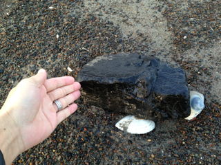 image-20131112195111.png