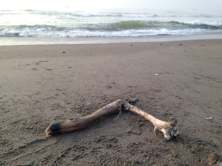 image-20131112195129.png