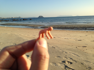 image-20140104234125.png