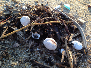 image-20140105205343.png