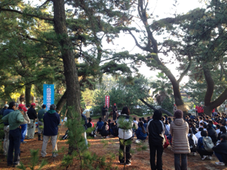 image-20140126155249.png