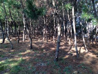 image-20140126155508.png