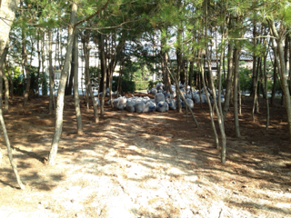 image-20140126155525.png
